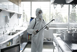 Fumigación Grado Alimenticio