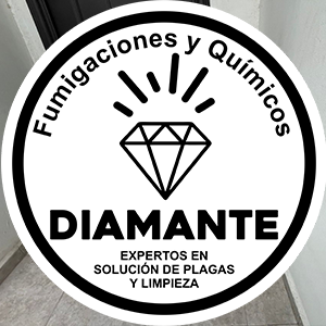 Trabajo 6